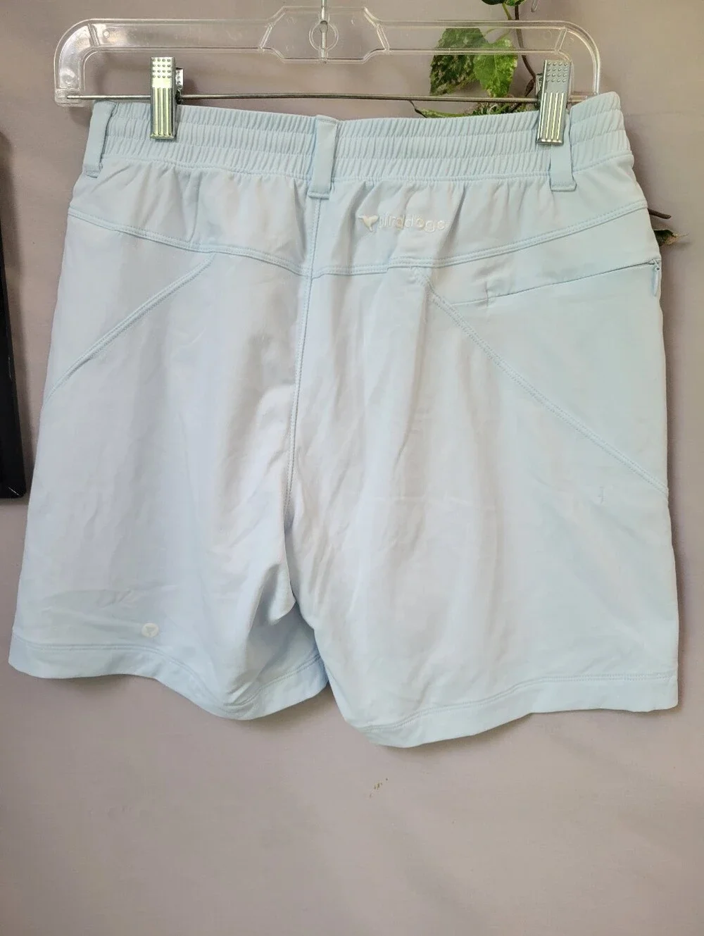 Birddogs Teddy Rubskins Light Blue Shorts 7